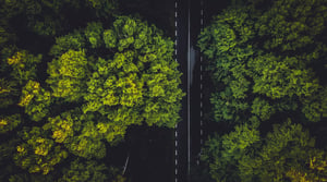sustainability-green-trees-with-road