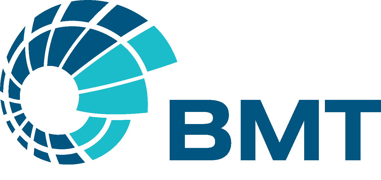 BMT logo only (RGB positive) 2